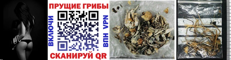 Купить  Воткинск  Псилоцибиновые грибы мицелий 